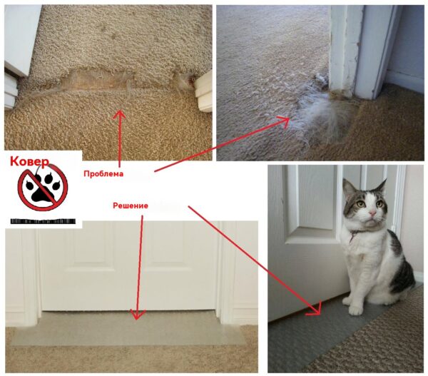 Anti Pet нетоксичные защитные двусторонние кошки царапины обучение сдерживания ленты защитить ваш диван - 图片 6
