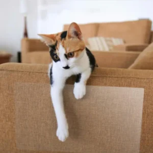 Anti Pet нетоксичные защитные двусторонние кошки царапины обучение сдерживания ленты защитить ваш диван
